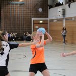 2017_02_19 Landesliga Frauen und Jugend 19